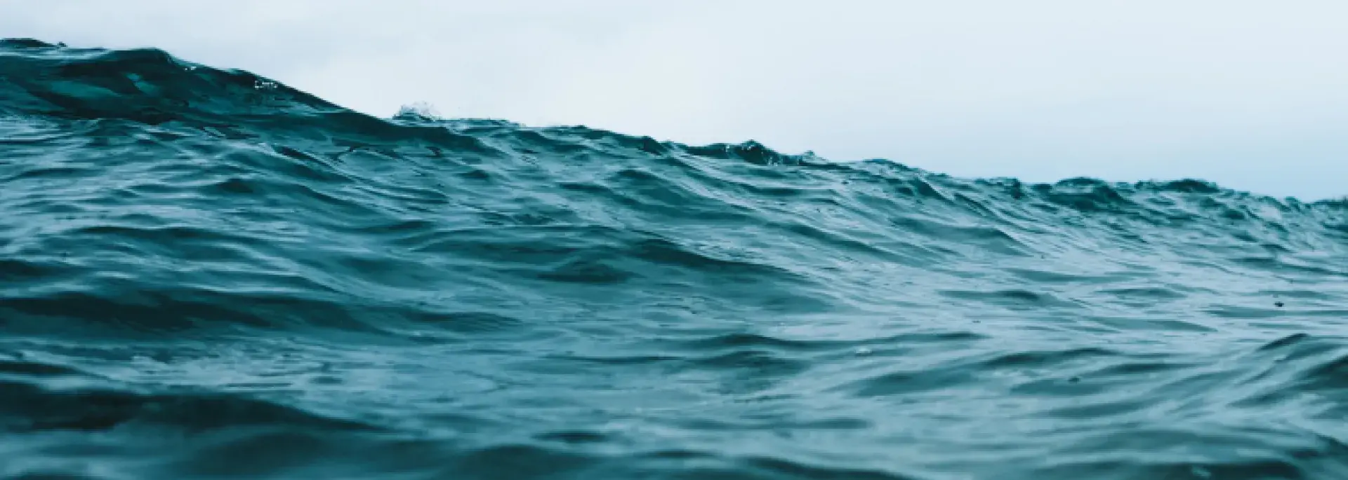 Ocean