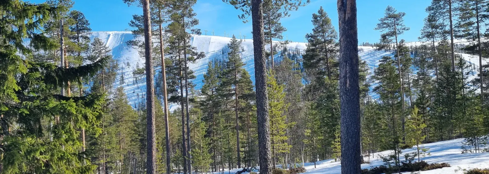 Sälen
